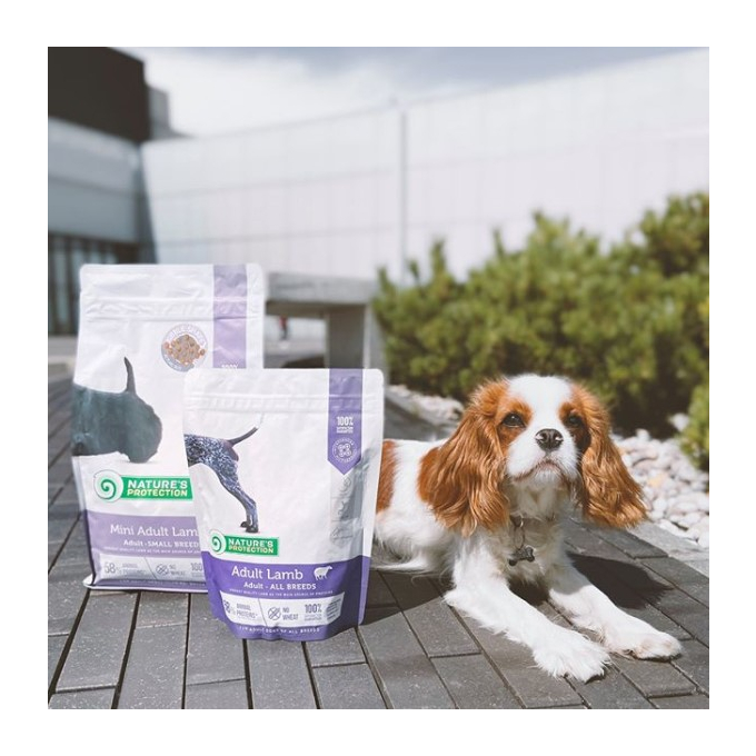 dry food for adult small breed dogs with lamb